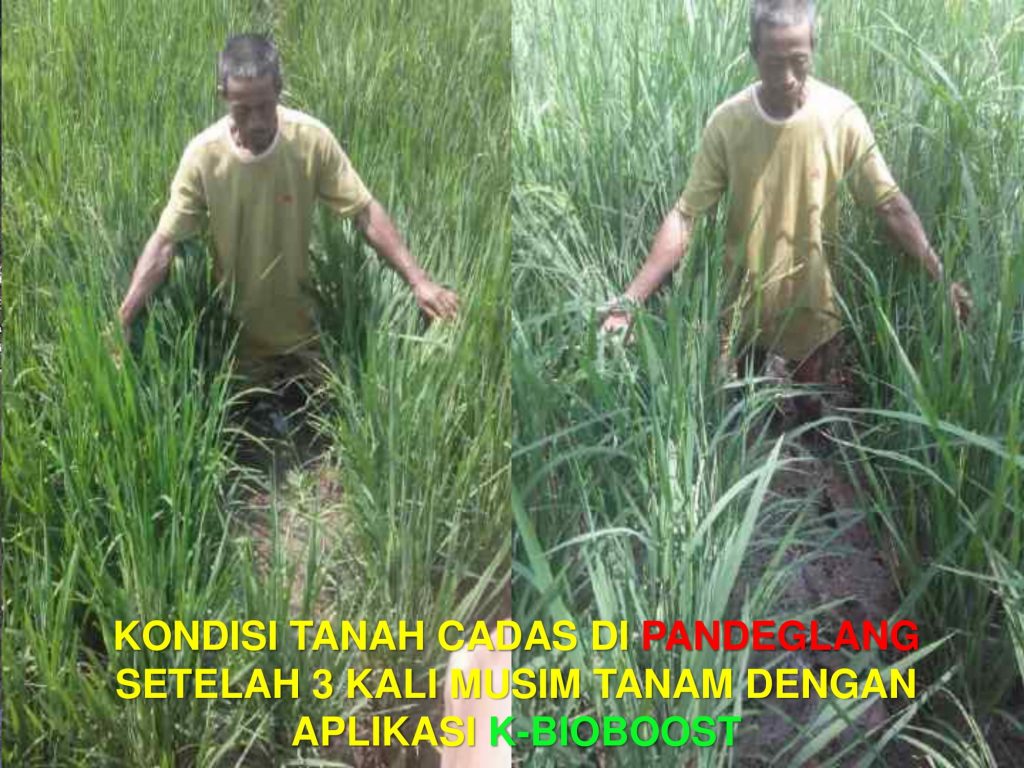 K-Bioboost Revisi (1)-042