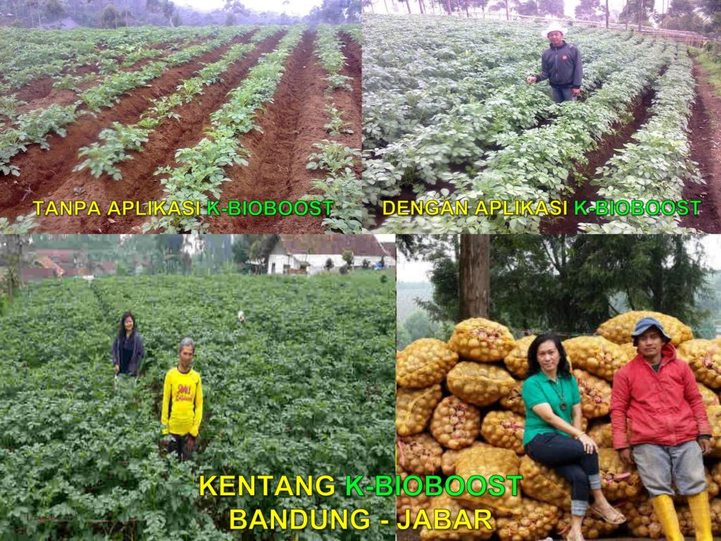 K-Bioboost Revisi (1)-056