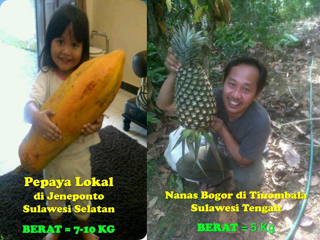 K-Bioboost Revisi (1)-057