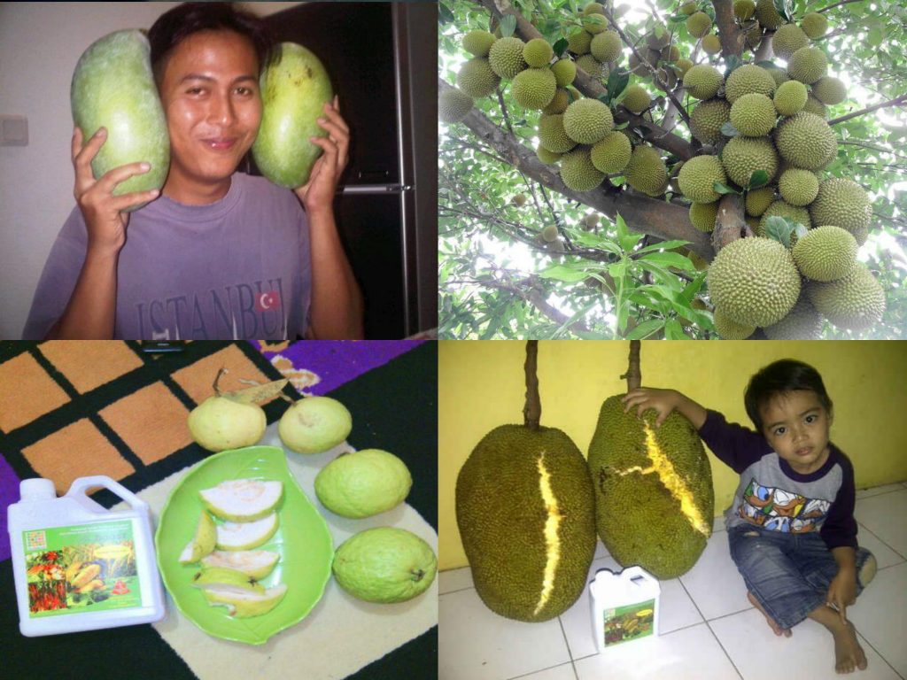 K-Bioboost Revisi (1)-059