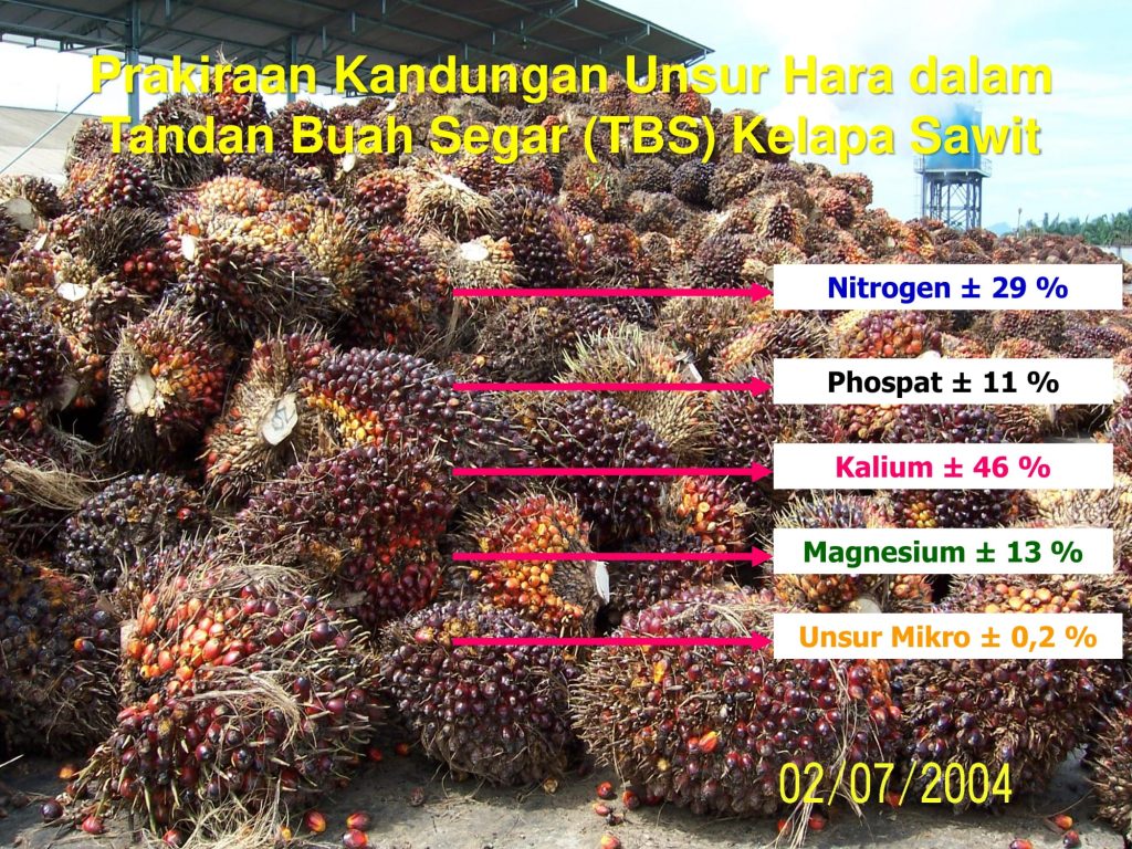 K-Bioboost Revisi (1)-065