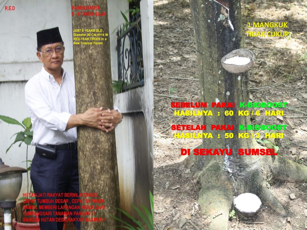 K-Bioboost Revisi (1)-067