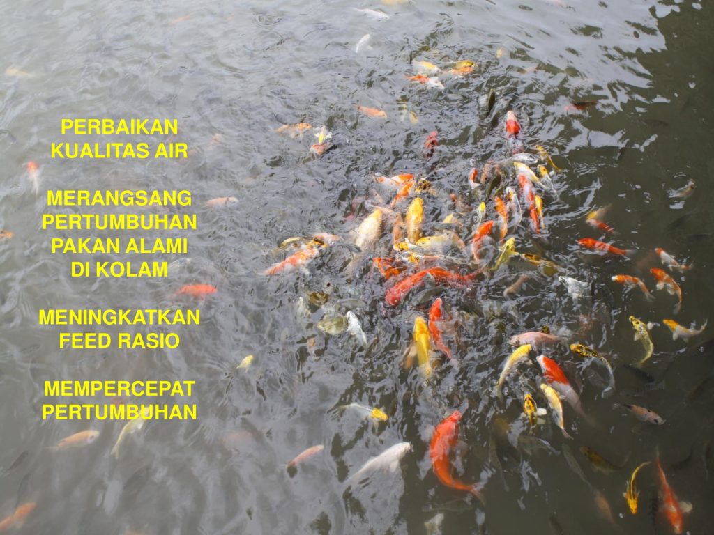 K-Bioboost Revisi (1)-083