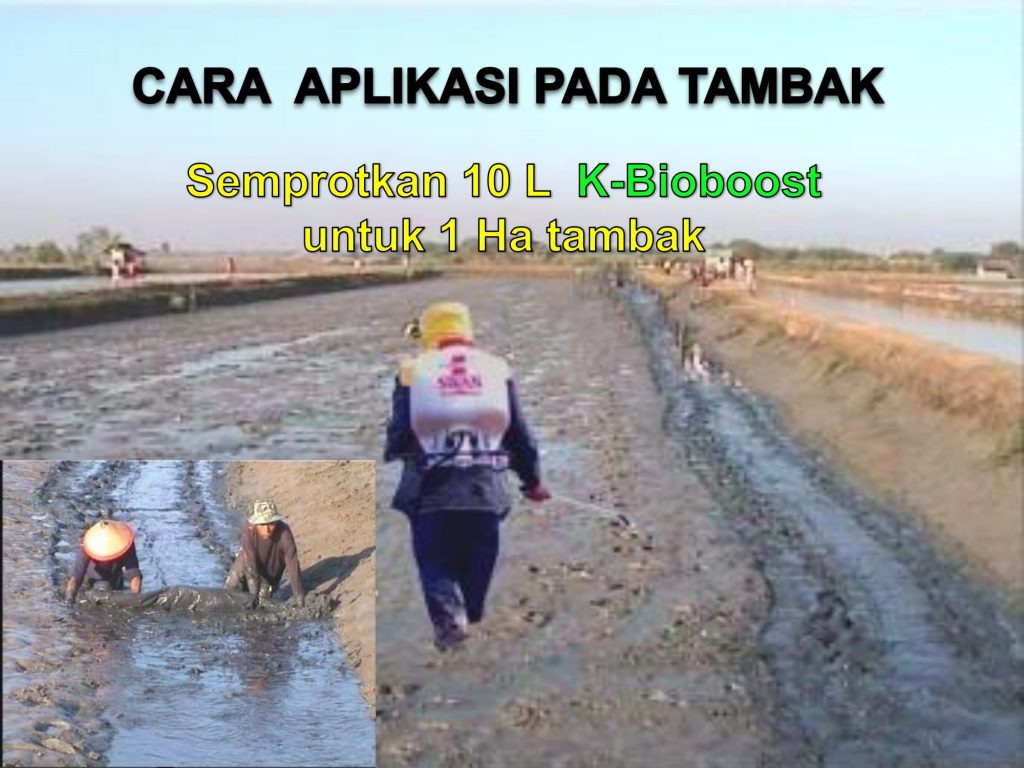 K-Bioboost Revisi (1)-084