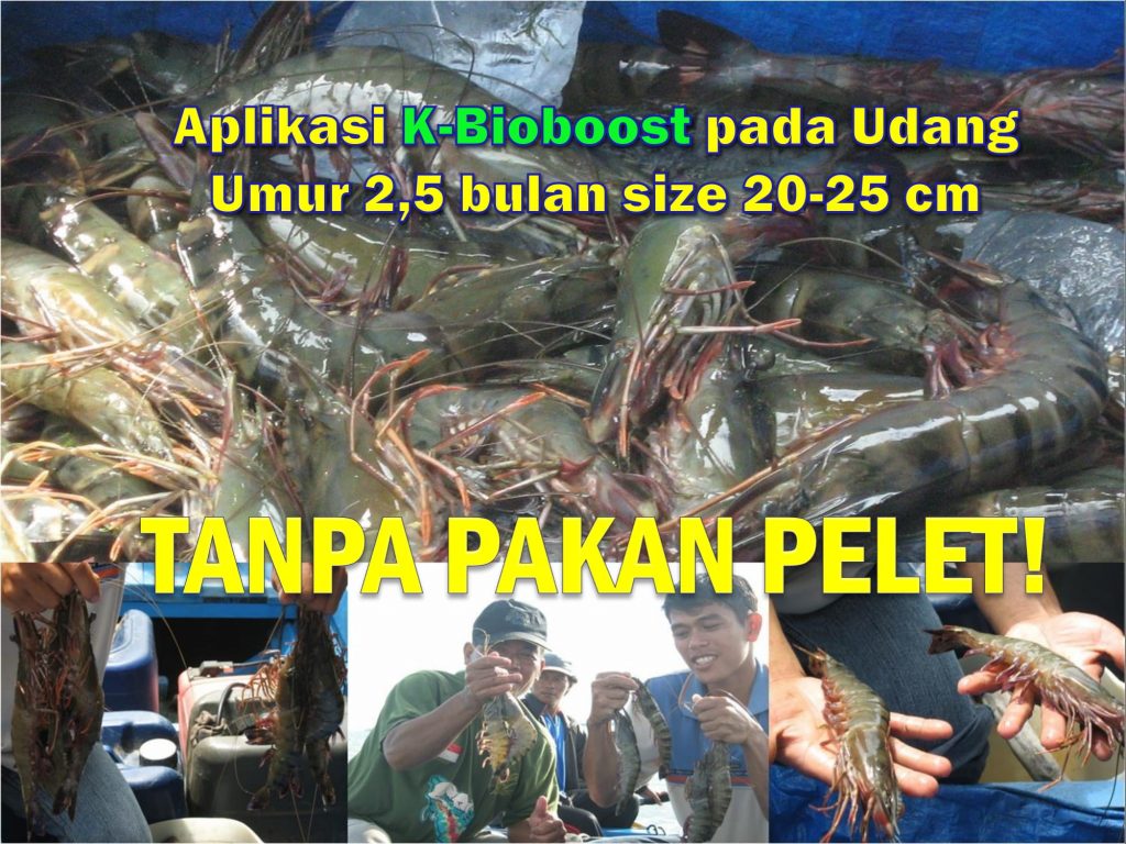 K-Bioboost Revisi (1)-085