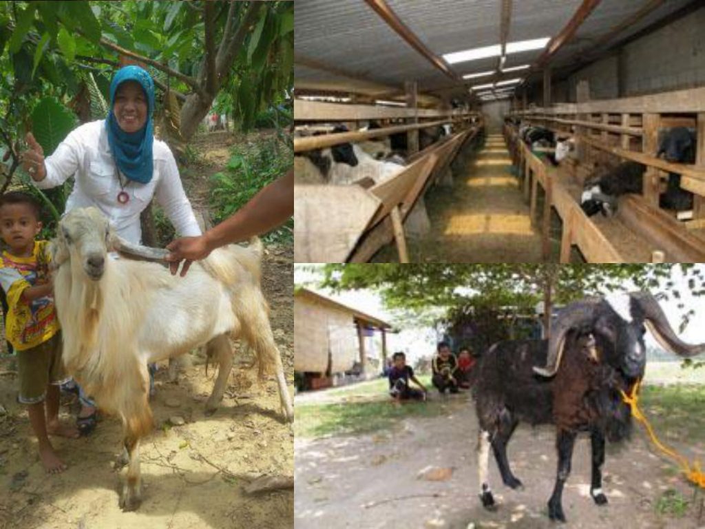 K-Bioboost Revisi (1)-097